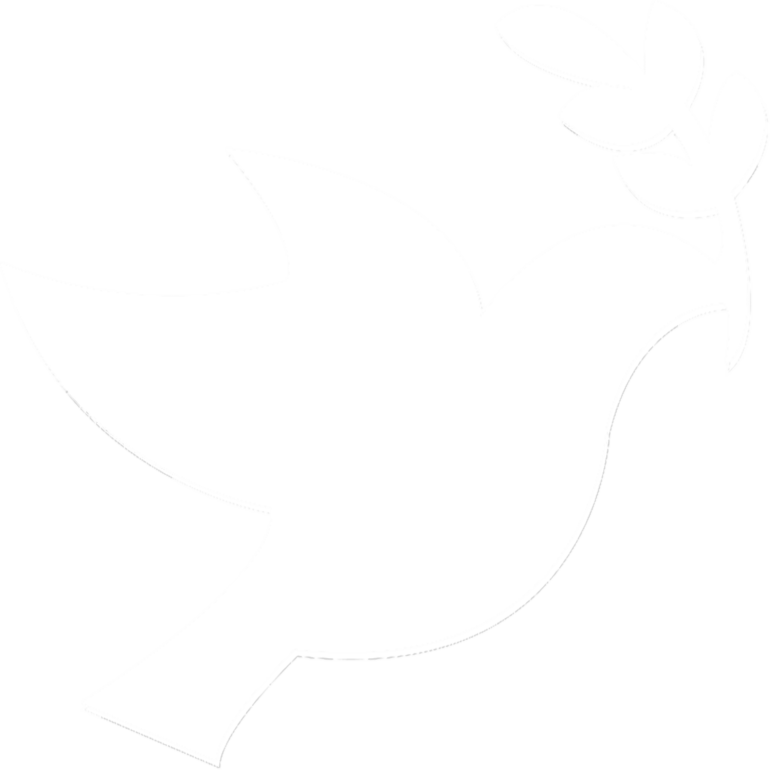 Peace Building